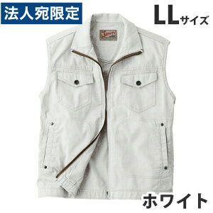 Jawin100xXgitėpjLL zCg 55010 ƕ ƒ jz[ Ȃ d  wsxwiꕔn揜jx