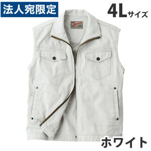 Jawin100xXgitėpj4L zCg 55010 ƕ ƒ jz[ Ȃ d  wsxwiꕔn揜jx