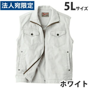 Jawin100xXgitėpj5L zCg 55010 ƕ ƒ jz[ Ȃ d  wsxwiꕔn揜jx