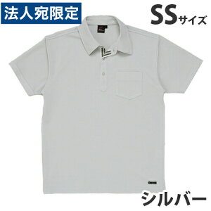 z|VcitėpjSS Vo[ 85214 ƕ ƒ jz[ Ȃ d  wsxwiꕔn揜jx