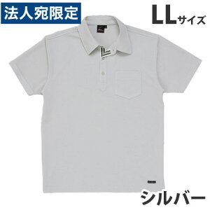 z|VcitėpjLL Vo[ 85214 ƕ ƒ jz[ Ȃ d  wsxwiꕔn揜jx