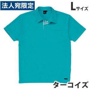 z|VcitėpjL ^[RCY 85214 ƕ ƒ jz[ Ȃ d  wsxwiꕔn揜jx