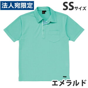 z|VcitėpjSS Gh 85214 ƕ ƒ jz[ Ȃ d  wsxwiꕔn揜jx