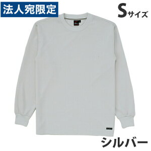 zTVciʔNpjS Vo[ 85224 ƕ ƒ jz[ Ȃ d  wsxwiꕔn揜jx