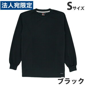 zTVciʔNpjS ubN 85224 ƕ ƒ jz[ Ȃ d  wsxwiꕔn揜jx