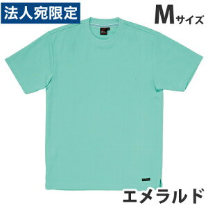 zTVcitėpjM Gh 85234 ƕ ƒ jz[ Ȃ d  wsxwiꕔn揜jx