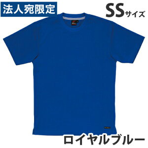 zTVcitėpjSS Cu[ 85234 ƕ ƒ jz[ Ȃ d  wsxwiꕔn揜jx