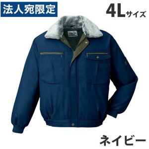 hu] 4L lCr[ 48070 ƕ ƒ jz[ Ȃ d  wsxwiꕔn揜jx