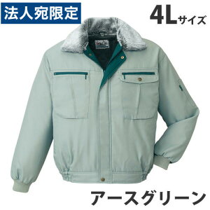 hu] 4L A[XO[ 48070 ƕ ƒ jz[ Ȃ d  wsxwiꕔn揜jx