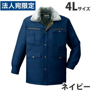 hR[g 4L lCr[ 48073 ƕ ƒ jz[ Ȃ d   wsxwiꕔn揜jx