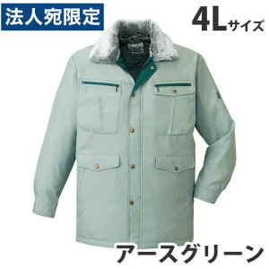 hR[g 4L A[XO[ 48073 ƕ ƒ jz[ Ȃ d   wsxwiꕔn揜jx