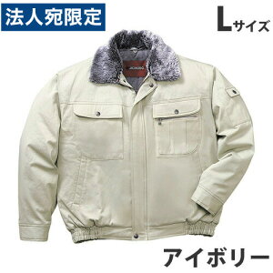 100hu]it[htj L AC{[ 48090 ƕ ƒ jz[ Ȃ d   wsxwiꕔn揜jx