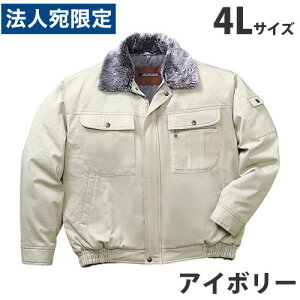 100hu]it[htj 4L AC{[ 48090 ƕ ƒ jz[ Ȃ d   wsxwiꕔn揜jx