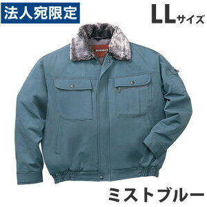 100hu]it[htj LL ~Xgu[ 48090 ƕ ƒ jz[ Ȃ d   wsxwiꕔn揜jx