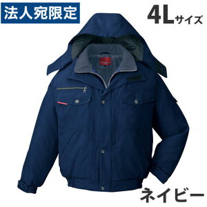 hu]it[htj 4L lCr[ 48420 ƕ ƒ jz[ Ȃ d  wsxwiꕔn揜jx