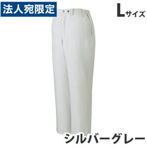 hpc L Vo[O[ 48421 ƕ ƒ jz[ Ȃ d  wsxwiꕔn揜jx