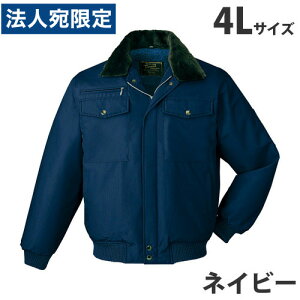 hu]it[htj 4L lCr[ 9600 ƕ ƒ jz[ Ȃ d   wsxwiꕔn揜jx