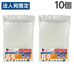 ɏՍ  pGANbV B4TCYΉ 2×10