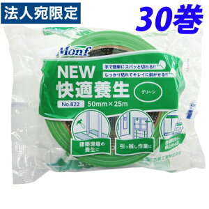 ÓH Monf NEWK{ {e[v 50mm×25m O[ 30 No.822wiꕔn揜jx