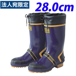 wixRS C WfBbNZteBDX 28.0cm SCDX-280wiꕔn揜jx