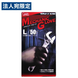 GXe[ f[u JjbNO[u ubN LTCY 50 Ɨp jg Ɨp  v  @B