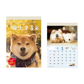 カレンダー ＜2024年版＞ 柴犬まる（壁掛け・小） NK-4008【新日本カレンダー】サイズ：H373×W254mm