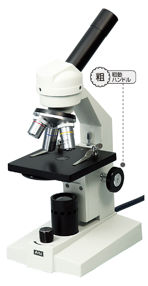 絶対一番安い 生物顕微鏡EB400 600 木箱大付 超激安