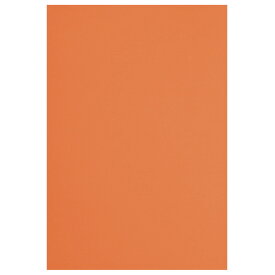 色画用紙　四つ切　橙　5枚4212-2586【カウネット】