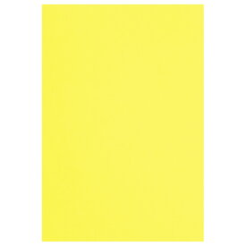 色画用紙　八つ切　レモン　10枚4212-2852【カウネット】