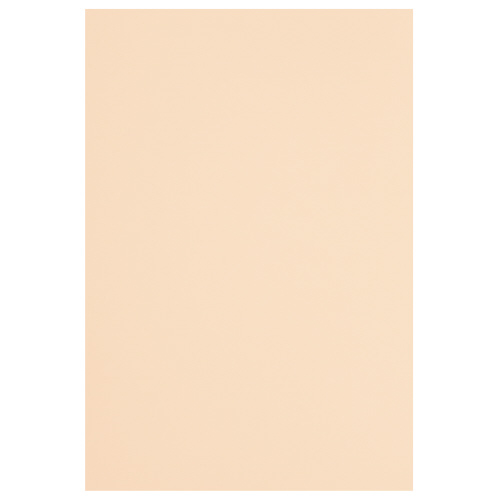 色画用紙 八つ切 肌色 薄橙 カウネット 定価 売れ筋 １００枚4226-9410