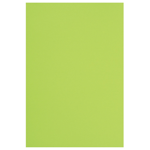 世界の人気ブランド 色画用紙 2020新作 八つ切 黄緑 １００枚4226-9427 カウネット