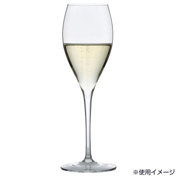 花びらのように軽く薄いリムのシャンパーニュグラス 同梱不可 LEHMANN レーマン フルール 6404 SALE 55%OFF スモール シャンパン 6脚セット 160cc 【53%OFF!】