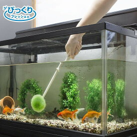 楽天市場 オフィス 掃除用品 水槽 アクアリウム 熱帯魚 アクアリウム ペット ペットグッズの通販 楽天市場 オフィス 掃除用品 水槽 アクアリウム 熱帯魚 アクアリウム ペット ペットグッズの通販