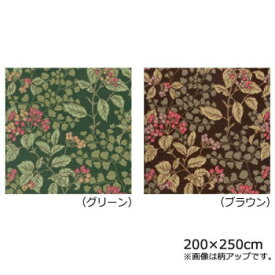 （同梱不可）川島織物セルコン ジューンベリー マルチカバー 200×250cm HV1019S