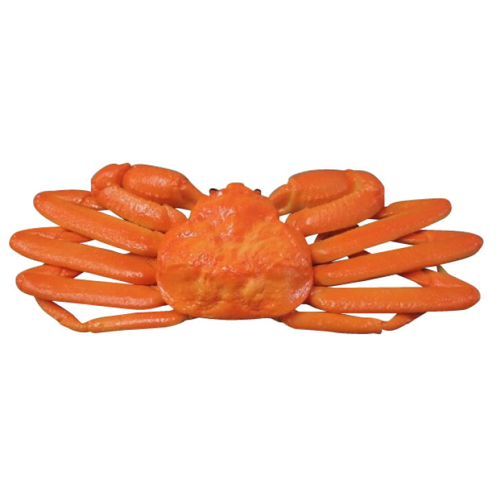 楽天市場 同梱不可 日本職人が作る 食品サンプル ズワイガニ Ip 385 オフィス ユー