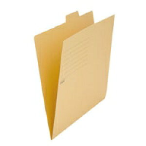 WCebNX 4Rz_[ A4E*10g D040J-3 YL / ʃtH_[ / 87402