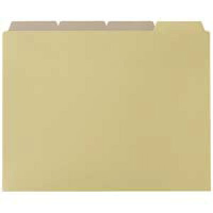 X}[go[ ʃtH_[E A4 4R*10g D099J / ʃtH_[ / 87469