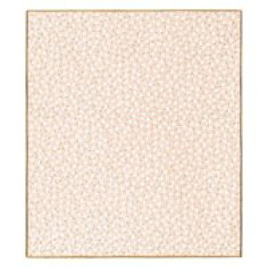 fUCtB F 33137006 ܉ԕsN / Tpȋ / 299230