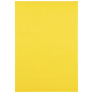 X}[go[ Fp 4c10 Ђ܂ P144J-3 / p / 381321