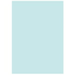 kzR[|[V ItBXpJ[R100 B5u[500*5 / Rs[pJ[p / 869745