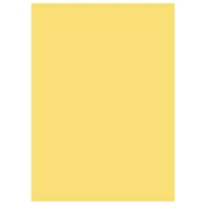 kzR[|[V ItBXpJ[R100 B4CG500*5 / Rs[pJ[p / 869755