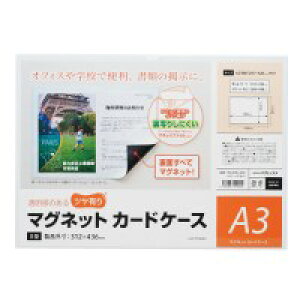 マグエックス マグネットカードケースツヤ有A3 MCARD-A3G / カードケース / 879754
