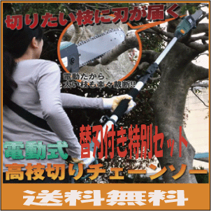チェーンソー電動高枝切りチェンソー高枝健太郎くん替刃付き特別セット【送料無料】
