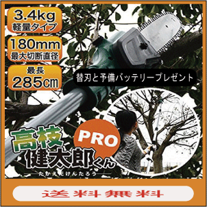 チェーンソー充電式コードレス電動高枝切りチェーンソー高枝健太郎くんPROYSG-0513【送料無料】