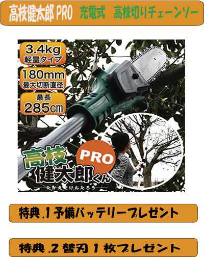 【高枝切り電動チェーンソー】YSG-0513チェーンソー充電式コードレス替刃付予備バッテリー付高枝切り安心の保証付【送料無料】【endsale_18】