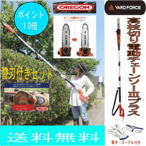 6月初旬入庫高枝切りチェーンソー3プラス替刃1枚付き特別セット高枝切り電動チェーンソー軽量高枝チェーンソーオレゴン製OREGON