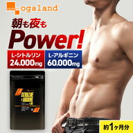 栄養機能食品 シトルリン＆アルギニン＆亜鉛 （約1ヶ月分） メンズ サプリ 男性用 人気 おすすめ 送料無…