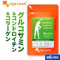 グルコサミン コンドロイチン コラーゲン（約6ヶ月分）送料無料 サプリメント サプリ フィッシュ コラー…