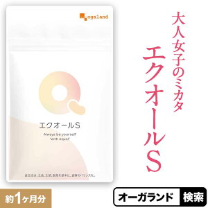 GNI[  1 30 GNI[ Tv Tvg GNI[Tv 2 hbOXgA ɂ͂Ȃ   GNI[ NgrI_ 哤 oy 哤C