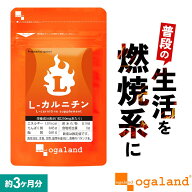 ダイエットサプリ L-カルニチン（約3ヶ月分） ダイエットサプリ 口コミ 評判 ダイエット カルニチン サプ…
